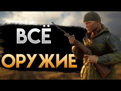 Видео: ВСЁ ОРУЖИЕ в TheHunter: Call of the Wild I ОБЗОР