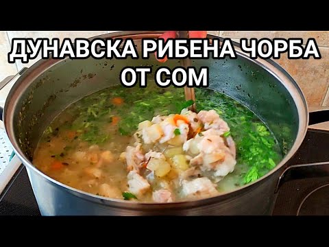 Видео: ДУНАВСКА РИБЕНА ЧОРБА ОТ ГЛАВА НА СОМ С 4 ВИДА ЗЕЛЕНЧУЦИ! ДЗВЕРСКИ ВКУС... СТАНА   НАИСТИНА ЧУДЕСНА!