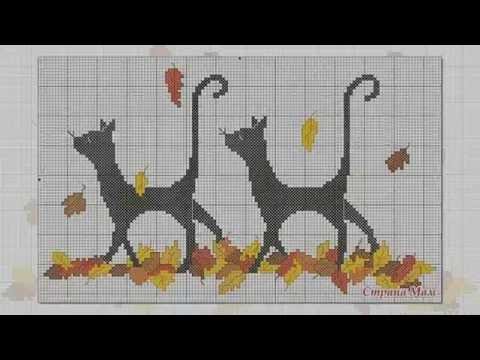 Видео: Жаккарды КОТЫ