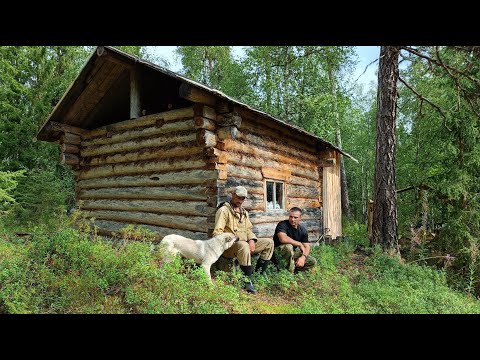 Видео: НА ИЗБУ ДАЛЬНЮЮ. РЫБАЛКА. НОЧЕВКА В ТАЙГЕ.