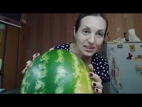 Видео: Нарциссы - это цветочки, а ягодки потом🍉🍉🍉