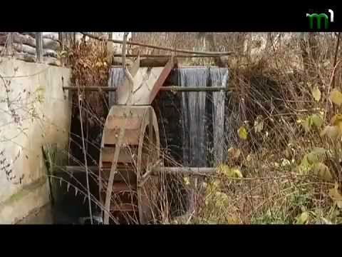 Видео: Тиса-1.Програма "Просто неба".Білки.