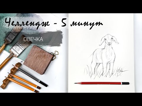 Видео: Овечка за 5 минут простым карандашом. Рисуем регулярно. Быстрые наброски