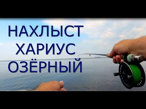 Видео: Рыбалка нахлыстом, озёрный хариус. Онежское озеро.