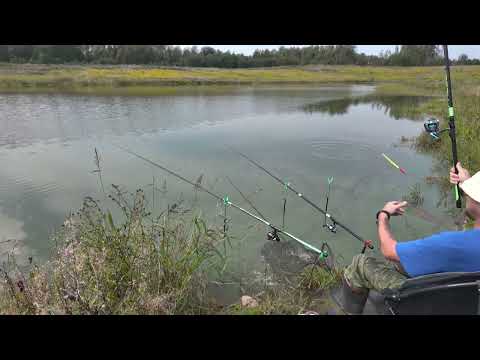Видео: Рыбалка на карася.Отлично отловился #рыбалка  #fishing  #fish #карась #поплавок #озеро