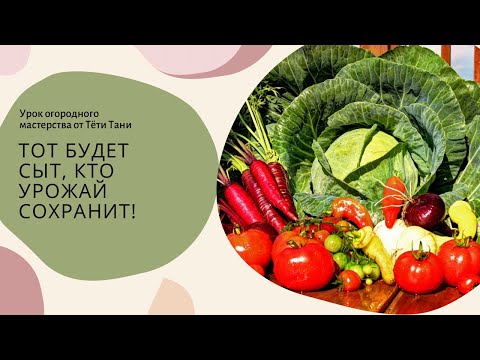 Видео: Тот будет сыт, кто урожай сохранит!