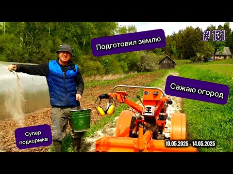 Видео: Подготовил землю и начал сажать картошку.