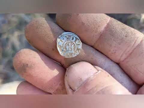 Видео: 11 ноября 2025 г.