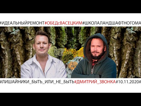 Видео: Горячий эфир про лишайники на деревьях в саду с Дмитрием Звонка
