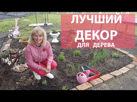 Видео: Чем закрыть дерево. Как сажать плющ