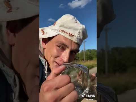 Видео: сборник видео 13.dissa