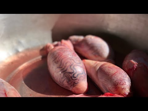 Видео: Виагра для мужчин из нежнейшего шашлыка!!! Узбекистан.Шашлыки бычьих яиц.