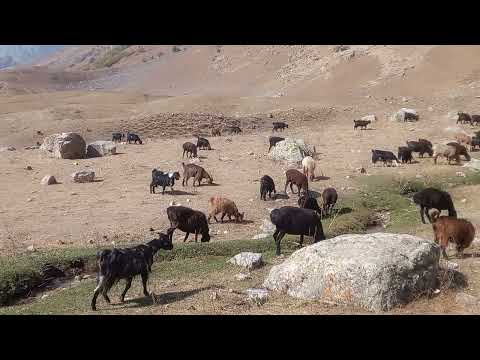 Видео: 14 октября 2025 г.