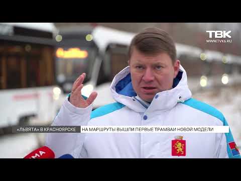 Видео: В Красноярске на маршруты вышли новые трамваи марки «Львенок»