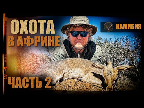 Видео: ОХОТА В НАМИБИИ | ЧАСТЬ 2 | ОХОТА С ДЕНИСОМ МОРОЗОВЫМ