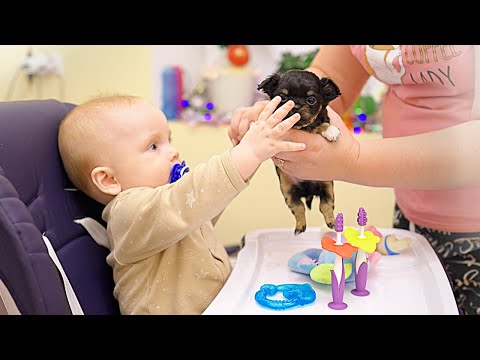Видео: Ребенок первый раз в жизни дотронулся до собаки!