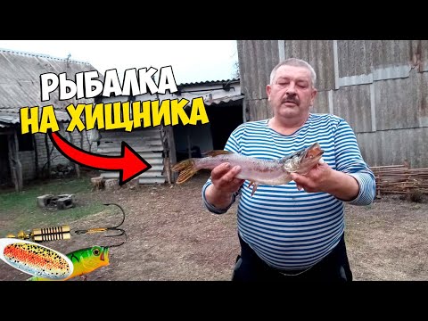 Видео: ОСЕННЯЯ РЫБАЛКА НА ХИЩНИКА\ВПОЙМАЛ ЩУКУ