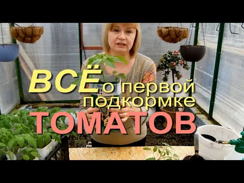Видео: ПОДКОРМКА ТОМАТОВ! ЧЕМ и КОГДА это делать! Советы от ЗЕЛЕНОГО ОГОРОДА!