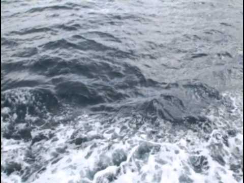 Видео: Випассана, 60-минутная медитация (видеоряд с музыкой)