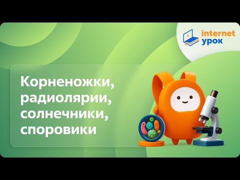Видео: Корненожки, радиолярии, солнечники, споровики. Видеоурок по биологии 7 класс