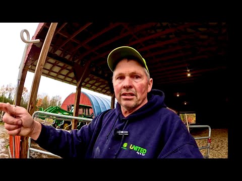 Видео: Коровы имеют право выбора