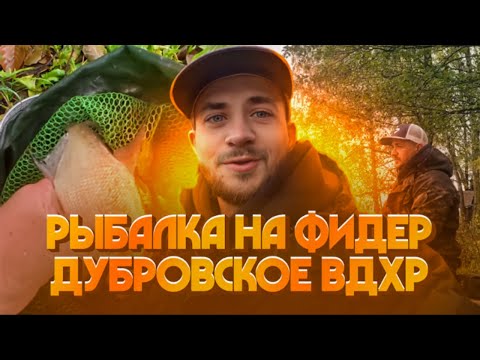 Видео: НЮАНСЫ ЛОВЛИ ПО ХОЛОДНОЙ ВОДЕ - Рыбалка на Дубровском водохранилище осенью