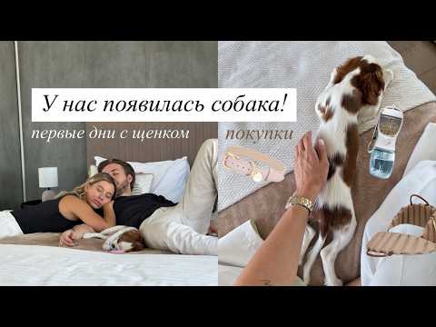 Видео: ПЕРВЫЕ ДНИ С ЩЕНКОМ, ПОКУПКИ И СЛОЖНОСТИ (или их нет?)
