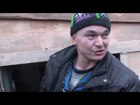 Видео: Голуби Кіровоградські у Роми