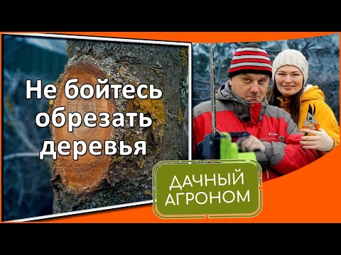 Видео: Наверное самое простое видео про обрезку сада! Правила обрезки плодовых деревьев для начинающих