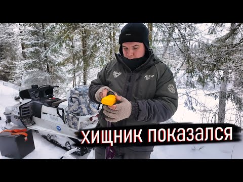 Видео: ХИЩНИК ПОД ВОДОЙ: РЫБАЛКА, КОТОРАЯ ДЕРЖАЛА НАС В НАПРЯЖЕНИИ!