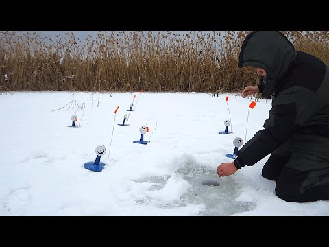 Видео: ЖЕРЛИЦЫ СРАБАТЫВАЮТ ОДНА ЗА ДРУГОЙ! Зимняя рыбалка 2025.