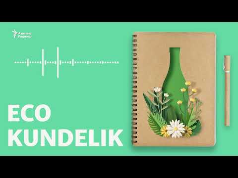 Видео: ҚОҚЫСТЫ АЗЫҚ-ТҮЛІККЕ ҚАЛАЙ АЛМАСТЫРУҒА БОЛАДЫ?