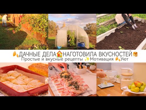 Видео: ПРОСТЫЕ И ВКУСНЫЕ РЕЦЕПТЫ 🥞ОСЕННИЕ ДАЧНЫЕ ДЕЛА🏠МОТИВАЦИЯ 🍂УЮТ