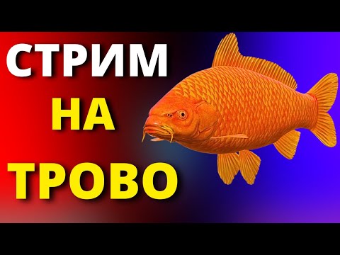 Видео: МЕДНОЕ + СМОТРИМ ФИЛЬМ 🎁 В  РУЛЕТКЕ - РАПТОР, ВЕНГА 🔴 ТУРИКИ 💥СТРИМ РР4