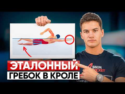 Видео: Вот почему твой кроль медленный! 3 фазы идеального гребка