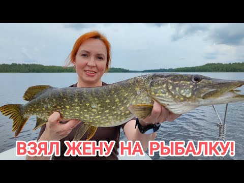 Видео: Жена на рыбалке приносит удачу! \\ Ловля щуки.