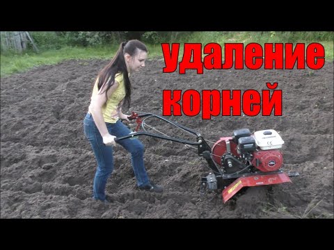 Видео: Мотоблок Ока и фрезы целина. Фрезеруем сырой огород. Удаление корней мотоблоком.