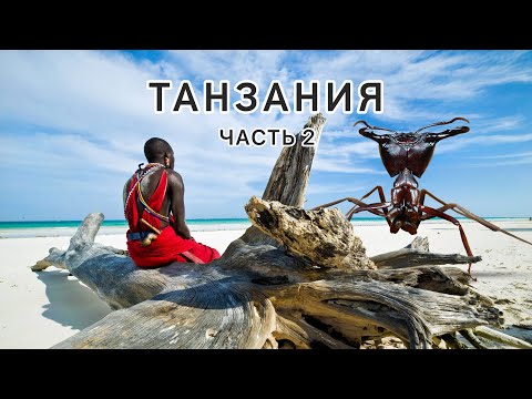 Видео: Экспедиция в Восточную Африку 2 часть!