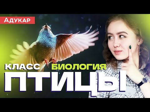 Видео: Класс птицы | Зоология, Биология ЕГЭ, ЦТ, ЦЭ Внешнее и внутреннее строение птиц | Уроки по биологии