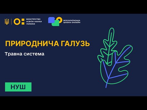 Видео: Природнича галузь. Травна система