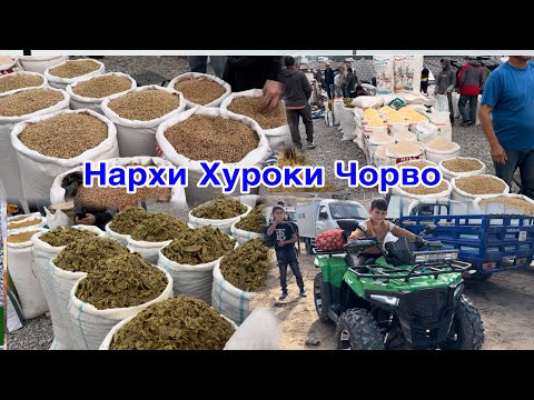 Видео: НАРХИ ХУРОКИ ЧОРВО КУНЧОРА ЧИГОРИ ЧАВ САБУС ГАНДУМ, 2 октября 2024 г.