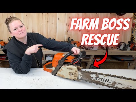Видео: Давным-давно... жил-был Stihl 039 | Давайте спасём этого старого фермера