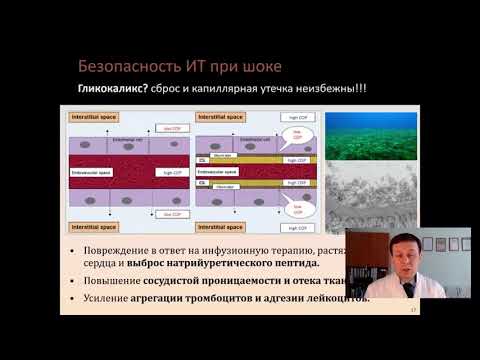 Видео: Безопасность инфузионной терапии при шоке Кузьков В В