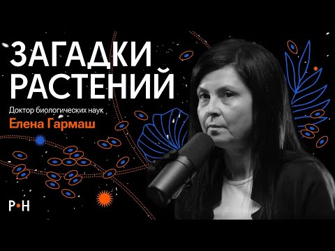 Видео: Невероятные растения / «социальные» подсолнухи, гигантский цветок и общий предок растений и животных