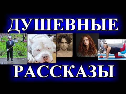 Видео: ДУШЕВНЫЕ  РАССКАЗЫ❤️НЕГЛАМУРНАЯ❤️Я ВЕРНУСЬ ЗА ТОБОЙ,ЖДИ❤️ВСЕХ ПРИНЦЕВ РАЗОБРАЛИ❤️ @TEFI РАССКАЗЫ