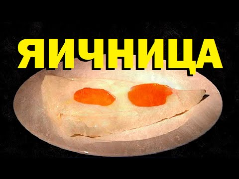 Видео: Галилео. Яичница