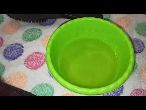 Видео: Как почистить норковую шубу уксусом