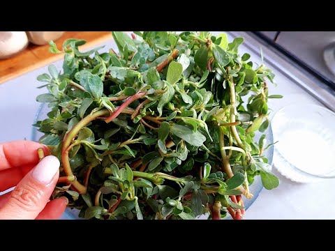 Видео: ПОРТУЛАК новый рецепт. Как  Вкусно готовят ОГОРОДНЫЙ СОРНЯК в Турции.