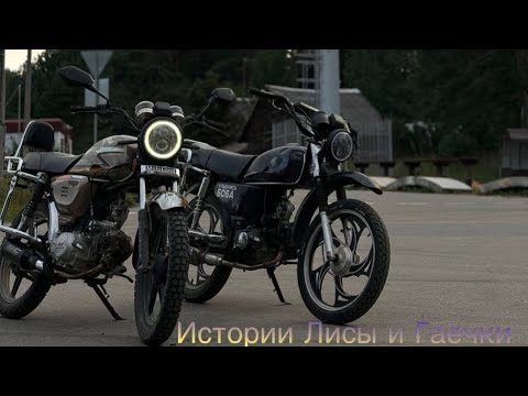 Видео: ИСТОРИЯ ЛИСЫ И ГАЕЧКИ/ВСЕ АВАРИИ/ПОГОНИ