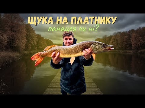 Видео: Щука на платнику — панацея чи марна трата грошей?🐊